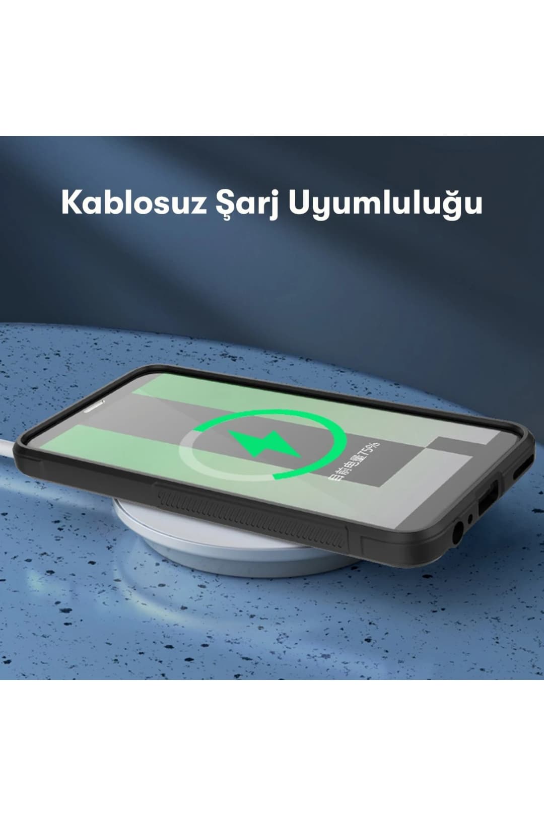 Product gallery 180871