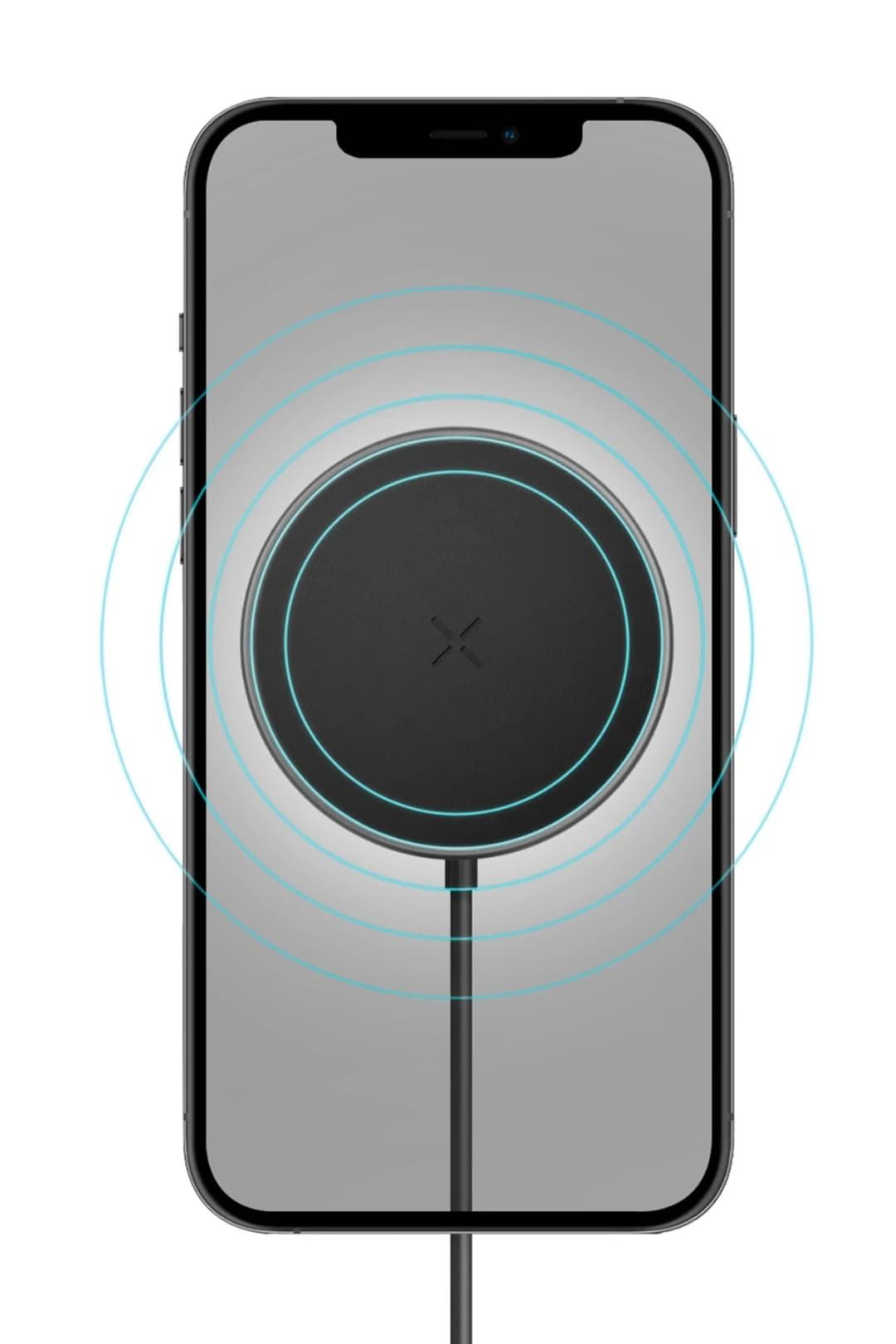 Product gallery 291926