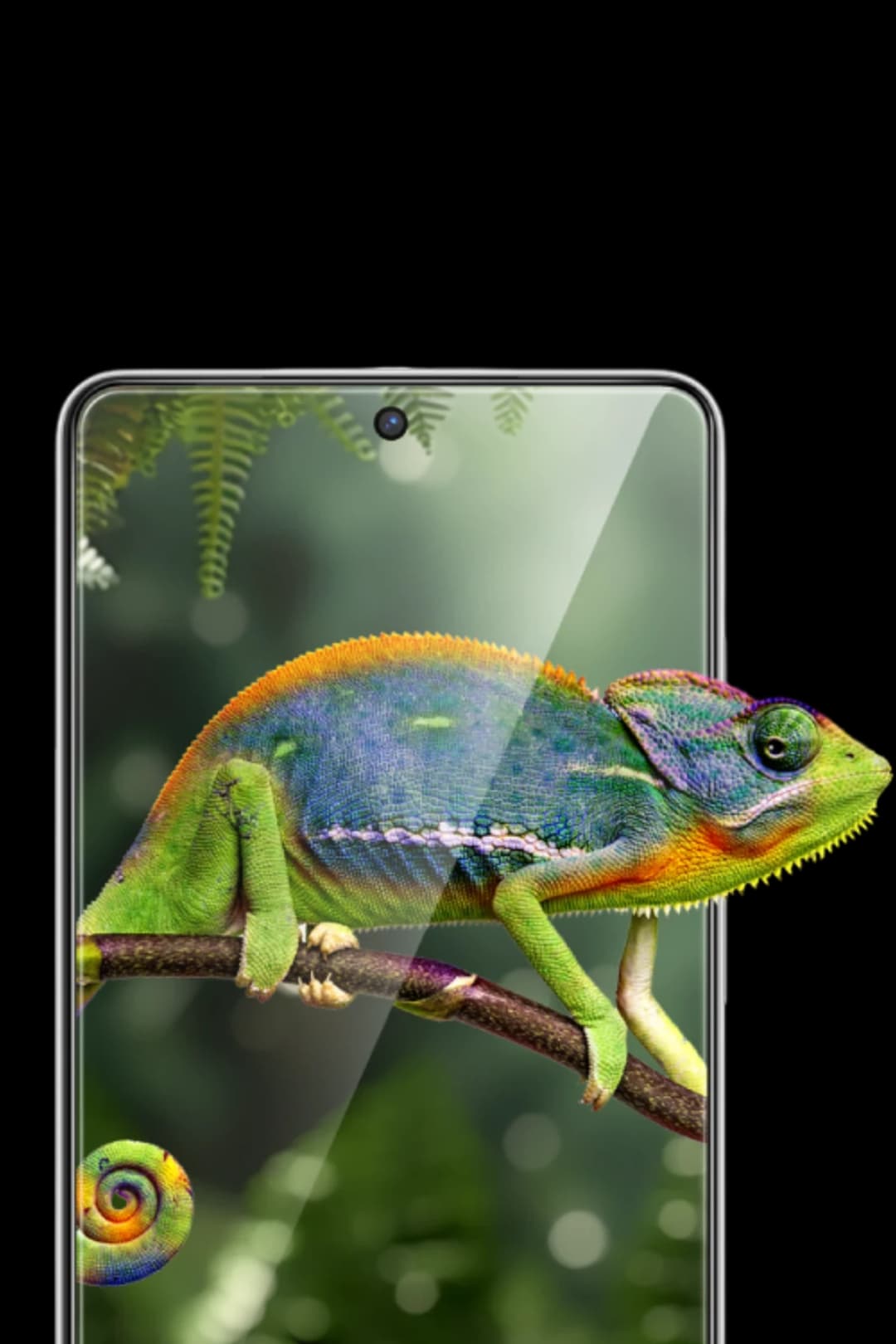 Product gallery 331656