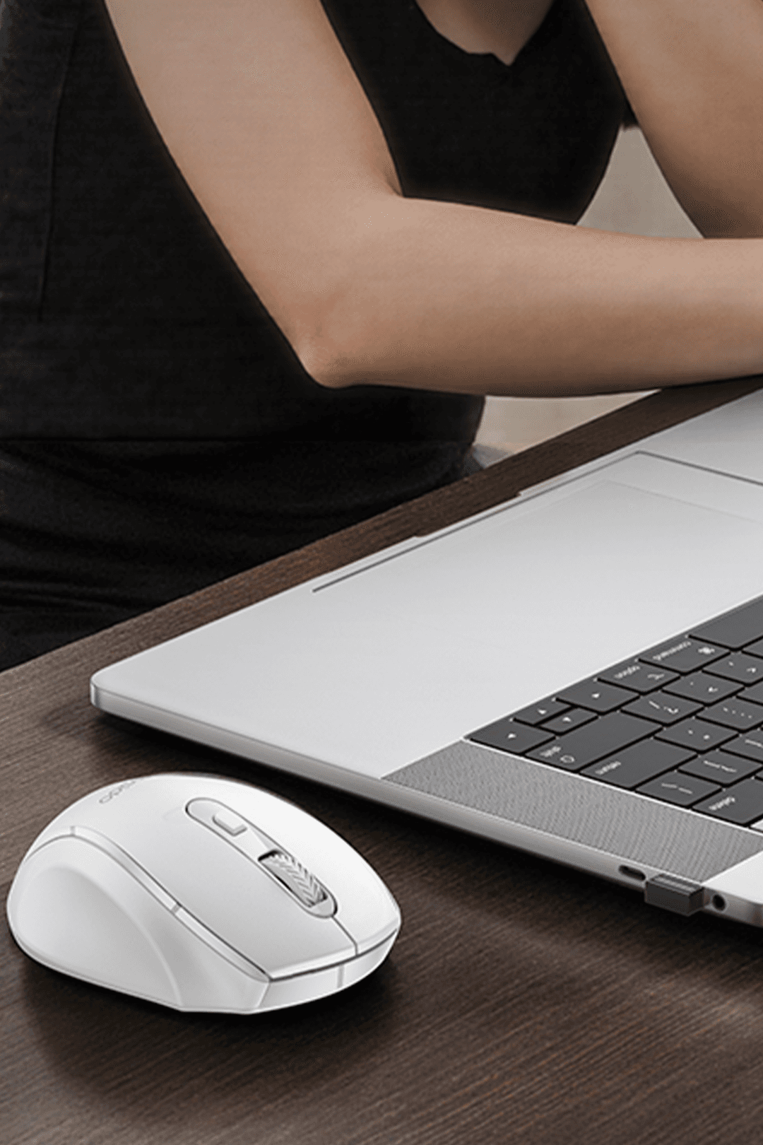 Product gallery 344699