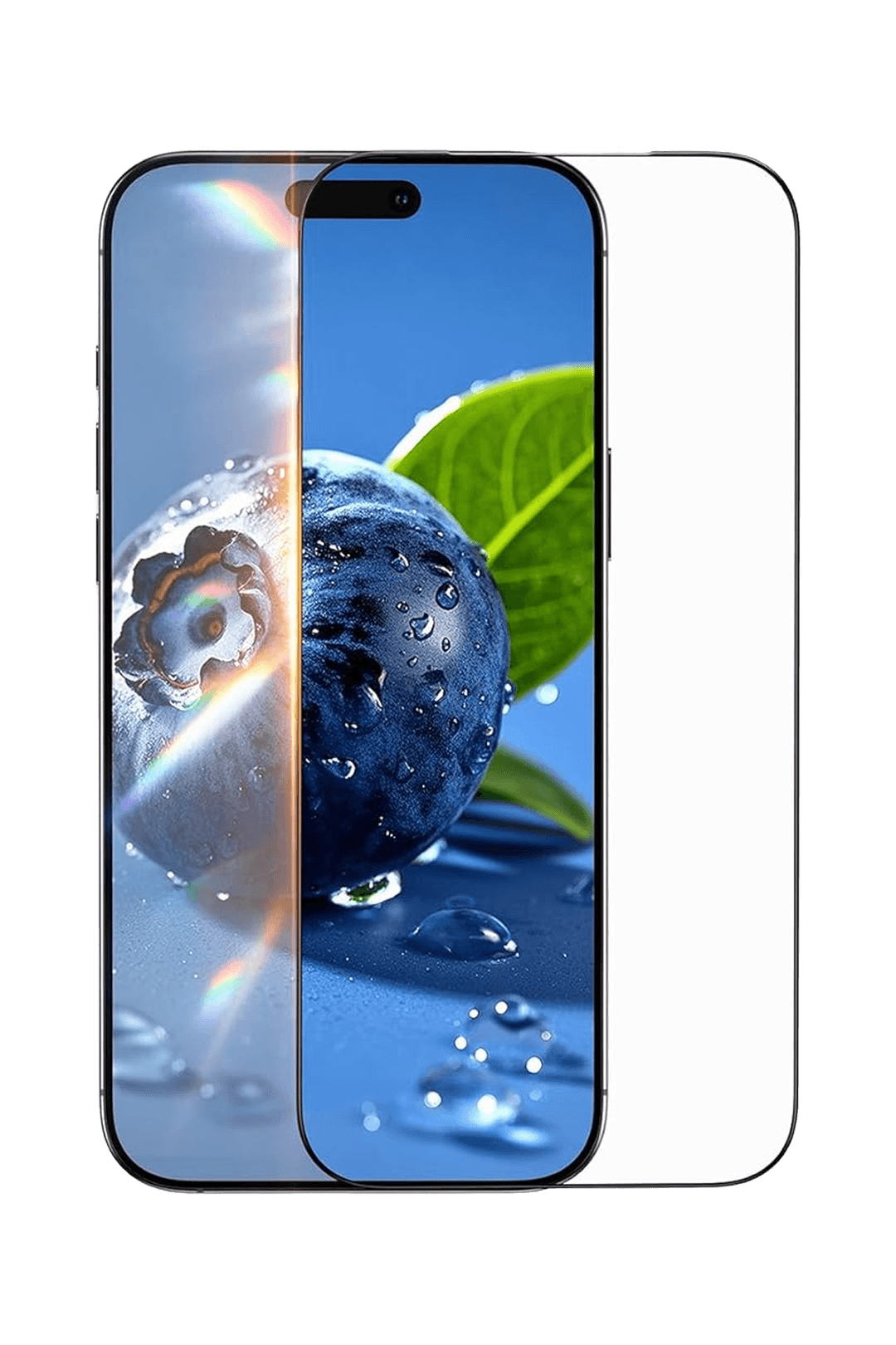 Product gallery 348771